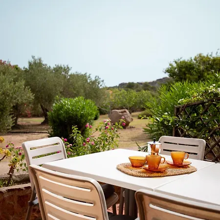 Summer Bunte * Olbia